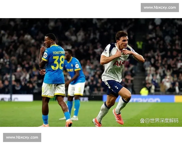 帕利尼亚：埃弗顿主场零封不易，热刺值得掌声